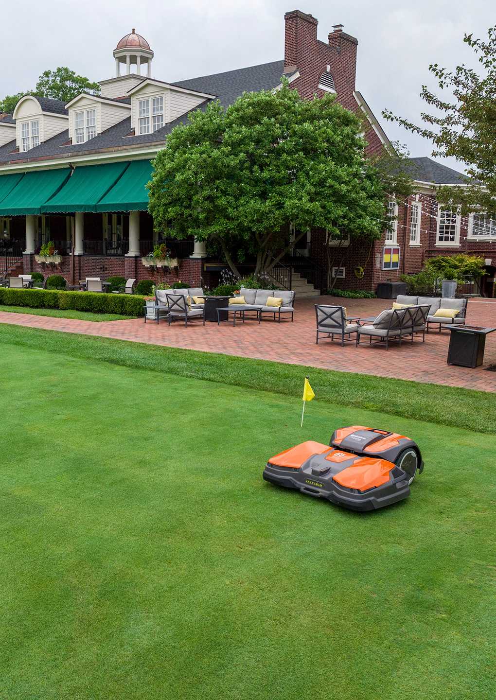 tonte grandes surfaces