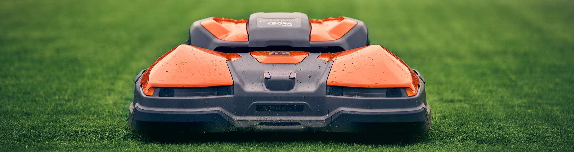 tonte grandes surfaces